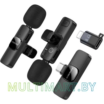 Микрофон Borofone BFK15 Lightning/Type-C (черный)